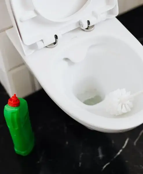 Création de site internet pour une entreprise d'assainissement